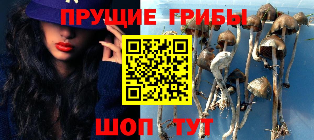 Псилоцибиновые грибы Magic Shrooms  Вход с VPN  Галлюциногенные грибы Psilocybine cubensis  Темрюк 